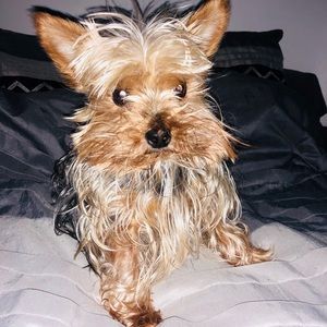 Meet your Posher, Jessica